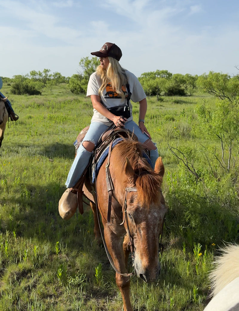 Person riding a horse in a grassy field with trees in the background