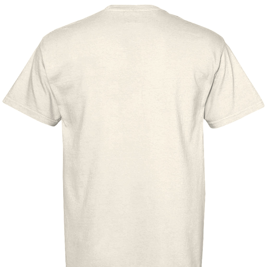 Back of a white empty shirt 